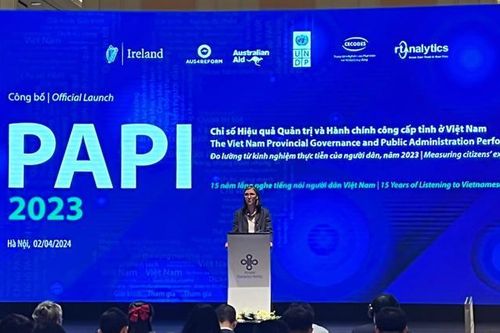 Địa phương nào là 'quán quân' hiệu quả quản trị và hành chính công năm 2023?
