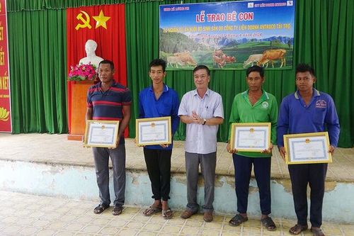 Công ty TNHH Liên doanh Antraco hỗ trợ bò giống cho bà con Khmer