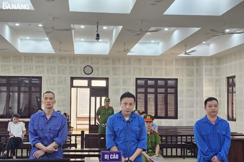 Lãnh án vì buôn lậu hơn trăm tấn dược liệu