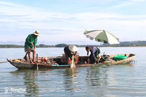 Cấm khai thác thủy sản kiểu tận diệt