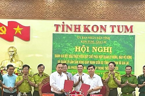 Ký kết quy chế phối hợp quản lý, bảo vệ rừng giáp ranh