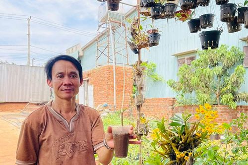 Thu nhập khá nhờ trồng cây cảnh kết hợp sản xuất phân bón hữu cơ