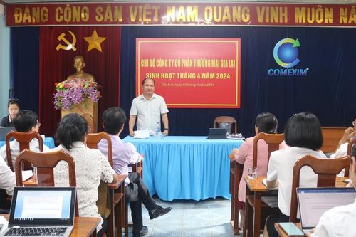 Phó Bí thư Tỉnh ủy Rah Lan Chung dự sinh hoạt thường kỳ tại Chi bộ Công ty cổ phần thương mại Gia Lai