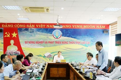 Hàng loạt kiến nghị giải quyết các khó khăn, bất cập trong sản xuất nông nghiệp hàng hóa
