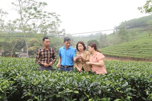 Gỡ khó, cơ cấu lại sản xuất cho doanh nghiệp