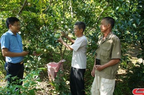 Hướng công tác dân vận về cơ sở