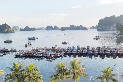 Quảng Ninh: Kinh tế biển 'tăng nuôi trồng, giảm khai thác'