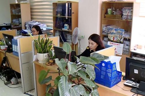 Thanh Hóa: Hơn 800 doanh nghiệp nợ thuế bị nhắc tên