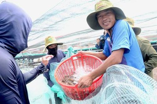 Từ cánh đồng lớn đến vựa nuôi trồng thủy sản tiền tỷ ở Long Điền