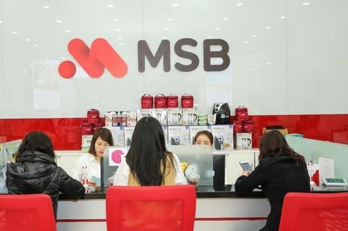 MSB trình cổ đông phương án chia cổ tức tỷ lệ 30%