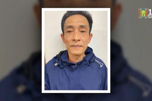 Đối tượng có 5 tiền án lại 'ngựa quen đường cũ'