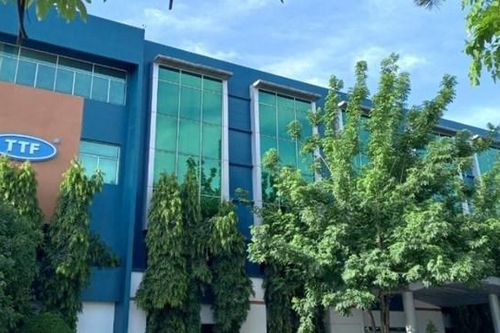 Sau kiểm toán, Gỗ Trường Thành (TTF) chuyển lãi 11 tỷ đồng sang lỗ gần 134 tỷ đồng