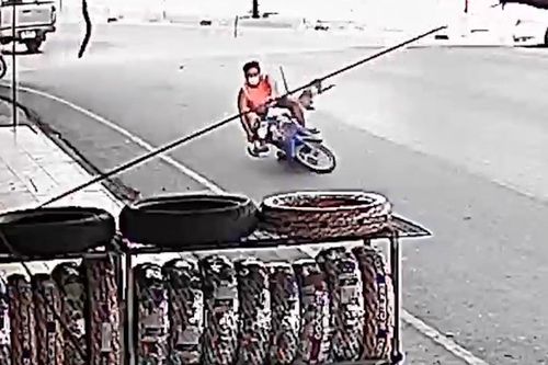 Khỉ hoang điên cuồng quật ngã người đi xe máy