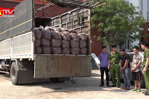 Phát hiện hơn một tấn 'hàng cấm' 'ngụy trang' trong xe tải chở khoai lang