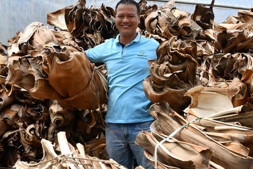 Biến phế liệu thành hàng xuất khẩu