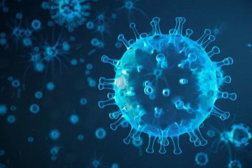 Những thực phẩm cần tránh để phòng cúm A (H5N1)