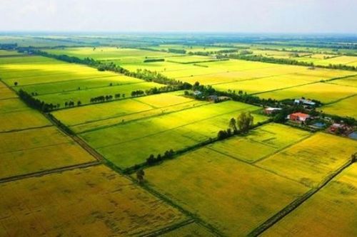 Luật Đất đai năm 2024: Tăng cường quyền làm chủ của nhân dân