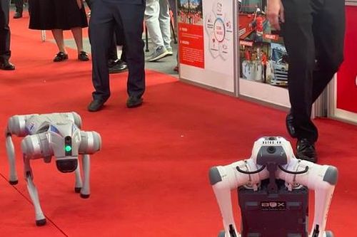 Robot chó của Việt Nam 'khuấy động' Hội chợ Thương mại Quốc tế