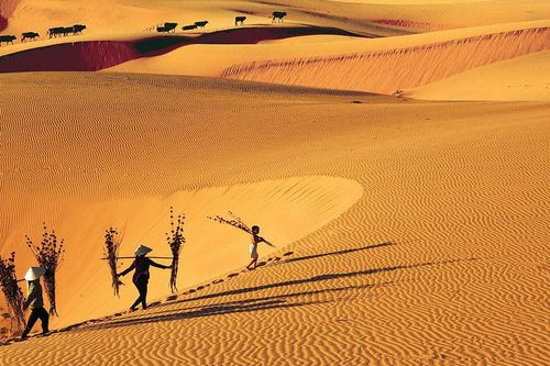 Điểm đến ở Việt Nam có khung cảnh độc đáo nhất Châu Á - Thái Bình Dương