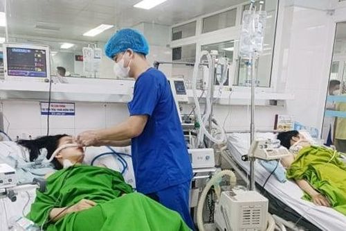 Ăn nhầm lá ngón trộn lẫn trong rau rừng