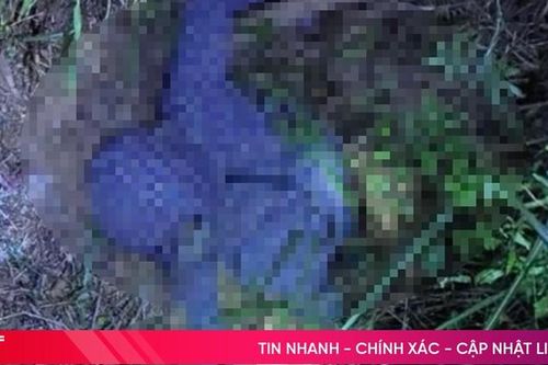 Một phụ nữ ở Hương Khê chết bất thường trong rừng