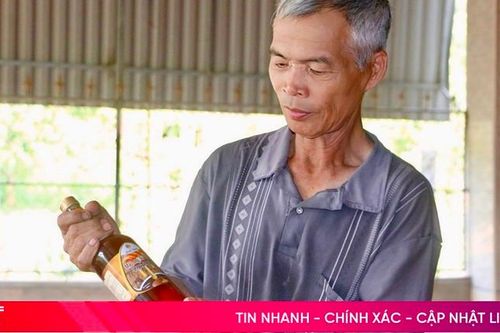 Mùa thu hoạch mật ong chính vụ ở Vũ Quang