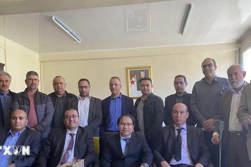 Việt Nam và Algeria trao đổi về tiềm năng hợp tác kinh tế-thương mại