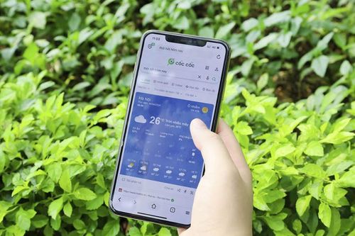 Người Việt tìm kiếm gì nhiều nhất trong 3 tháng đầu năm?