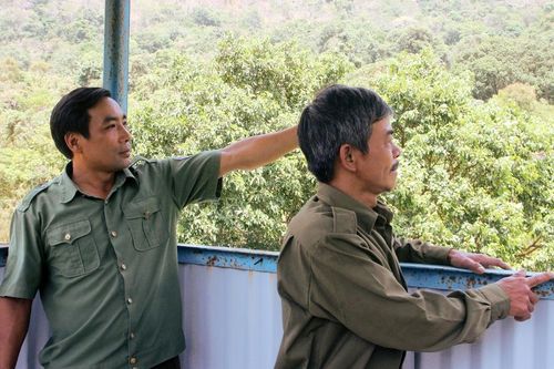Giữ rừng trên đèo cao