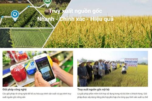 Lào Cai quan tâm hỗ trợ doanh nghiệp, người dân chuyển đổi số, ứng dụng thương mại điện tử