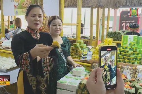 Đưa nông sản lên sàn thương mại TikTok