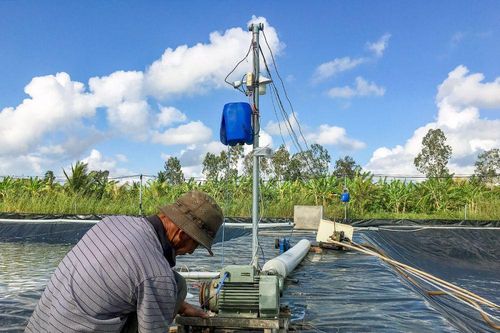 Máy thay sức người - Giảm chi phí, tăng hiệu quả
