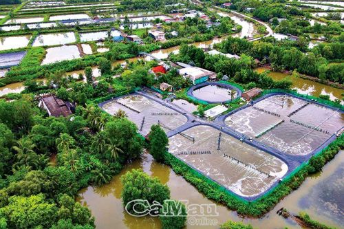 Thay đổi để thích ứng và phát triển