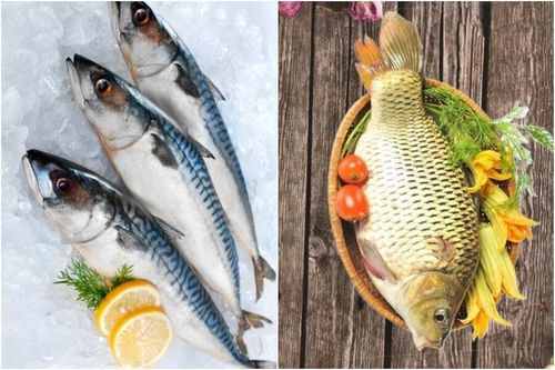 Ăn cá nước mặn hay cá nước ngọt bổ dưỡng hơn?