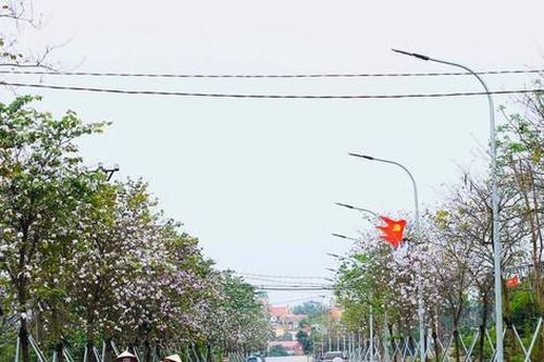 Thanh Trì đạt 32/34 tiêu chuẩn thành lập quận