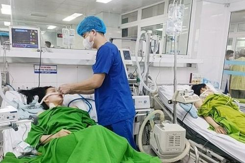Ăn cơm trưa với 'rau lạ', 2 chị em ở Phú Thọ nguy kịch, phải nhập viện rửa dạ dày