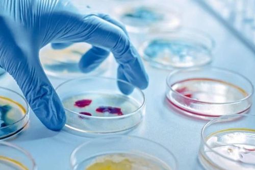 Thêm một 'vũ khí' mới chống lại vi khuẩn gây nhiễm trùng nghiêm trọng