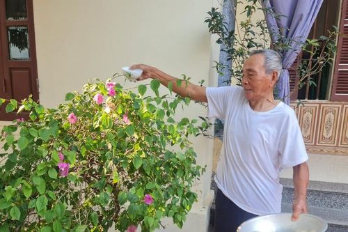 Ký ức Điện Biên Phủ: Người về từ Hồng Cúm