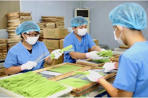 Kiến nghị giảm giờ làm việc, Bộ LĐTB&XH sẽ nghiên cứu