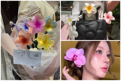 Nữ sinh 'đua nhau' sắm kẹp hoa sứ 'hot trend'