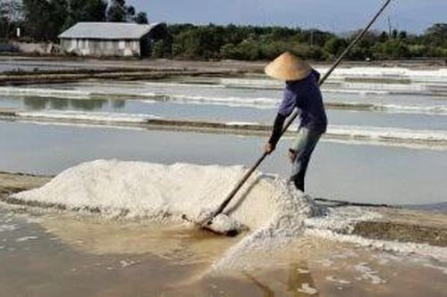Không gian phát triển nghề muối