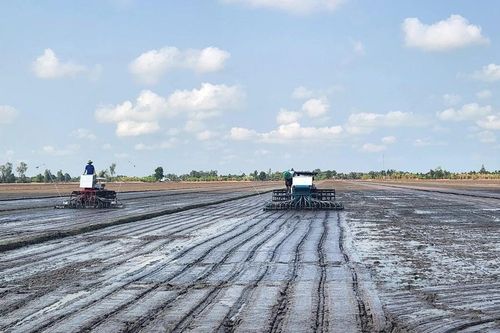 Khởi động Đề án 1 triệu ha lúa chất lượng cao ở miền Tây