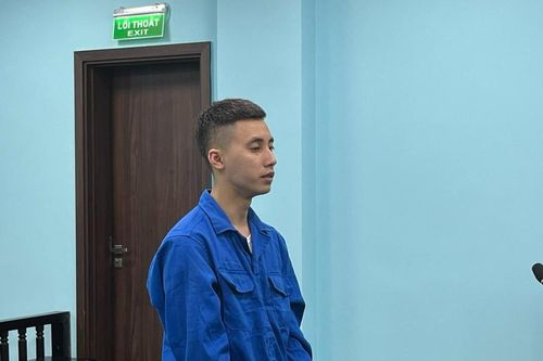 Lời khai của bị cáo sang nước ngoài 'đầu quân' cho Cty lừa đảo