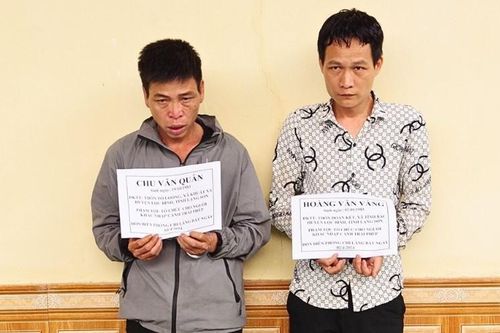 Biên Phòng Lạng Sơn phá thành công chuyên án tổ chức cho người Trung Quốc nhập cảnh trái phép vào Việt Nam