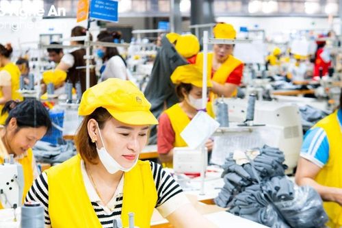 Số vốn đăng ký của doanh nghiệp thành lập mới tại Nghệ An tăng cao
