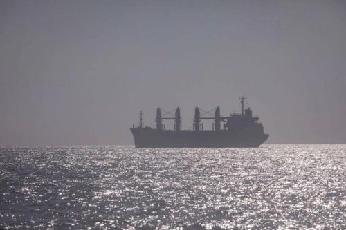Nga tạm giữ 2 tàu chở lúa mì của Ai Cập do tranh chấp thương nhân