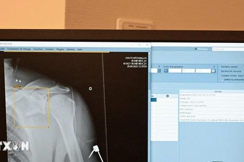 Hàn Quốc đầu tư hơn 500 triệu USD để tích hợp AI vào mọi lĩnh vực của xã hội
