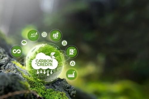 Ba công ty kinh doanh tín chỉ carbon đạt chứng nhận 'uy tín'