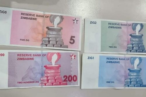 Ngân hàng trung ương Zimbabwe ra mắt tiền giấy mới nhằm ổn định kinh tế