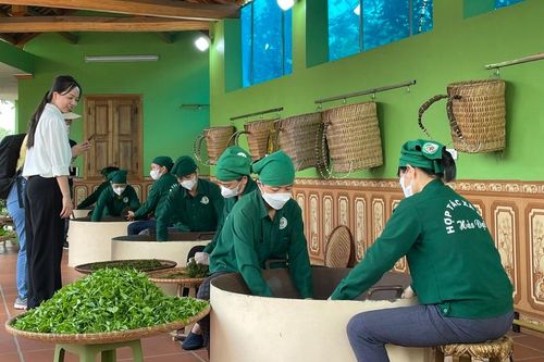 Thái Nguyên xúc tiến quảng bá du lịch tại TP Hồ Chí Minh